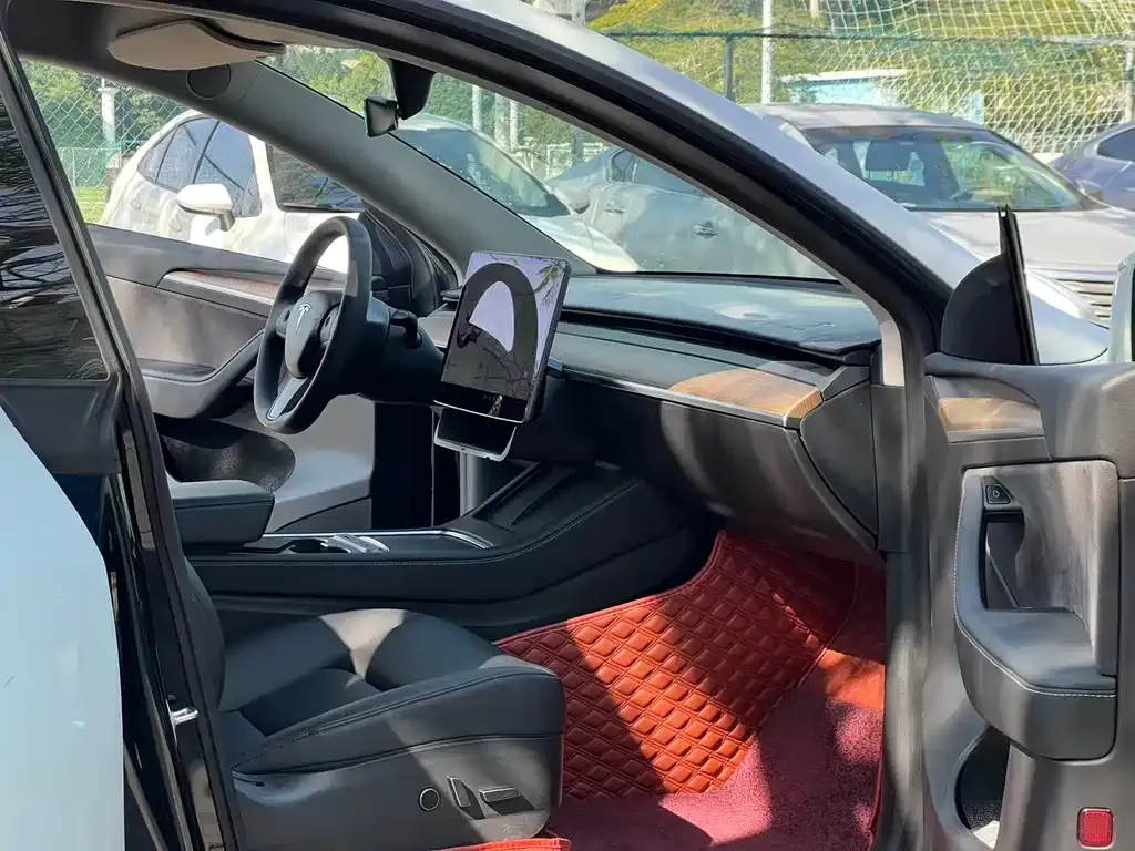 Tesla Model Y 2021 из CN, фото 5