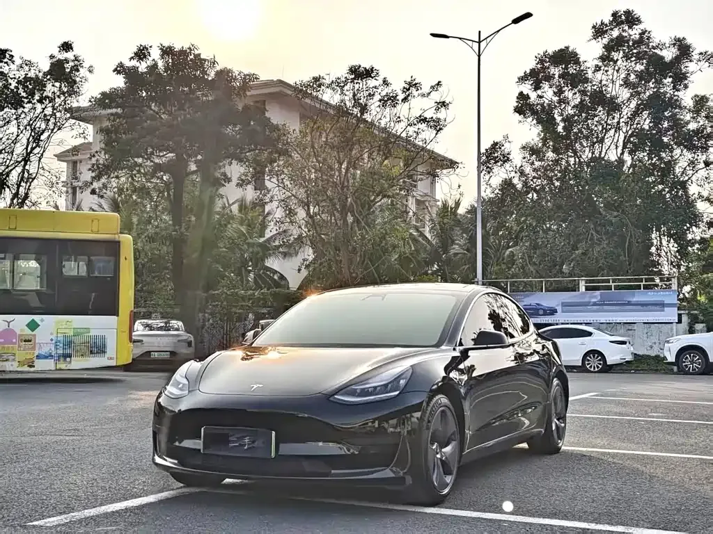 Tesla Model 3 2021 из CN, фото 1