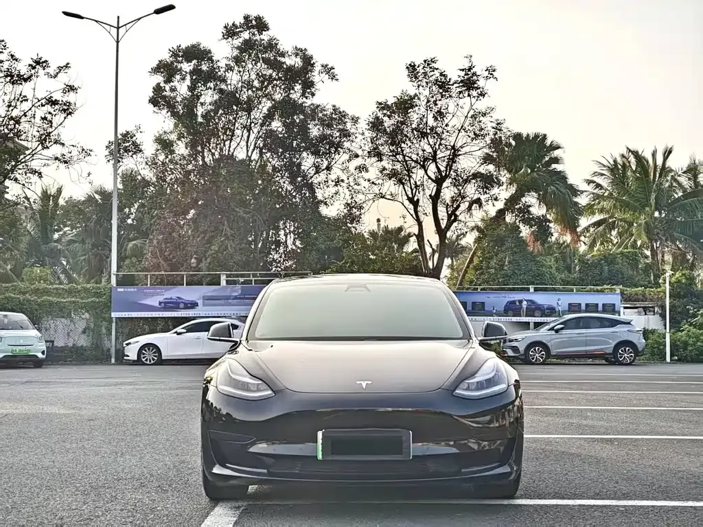 Tesla Model 3 2021 из CN, фото 9