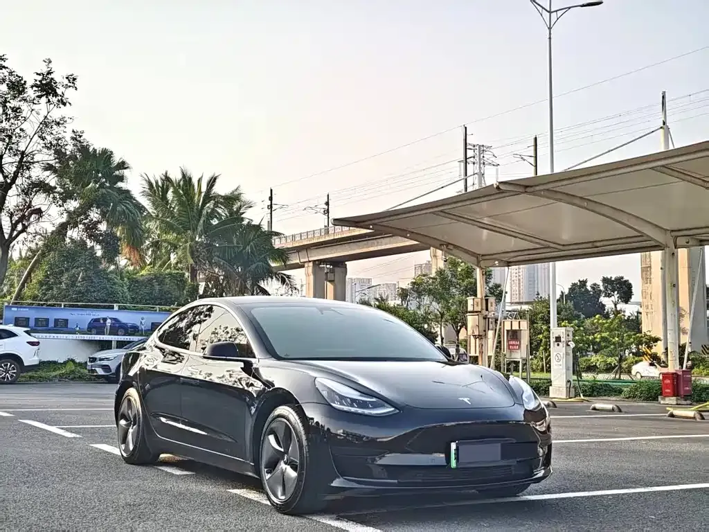 Tesla Model 3 2021 из CN, фото 6