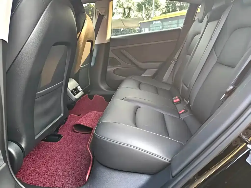 Tesla Model 3 2021 из CN, фото 3