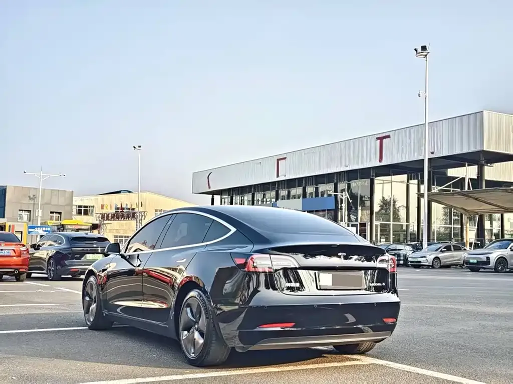Tesla Model 3 2021 из CN, фото 8