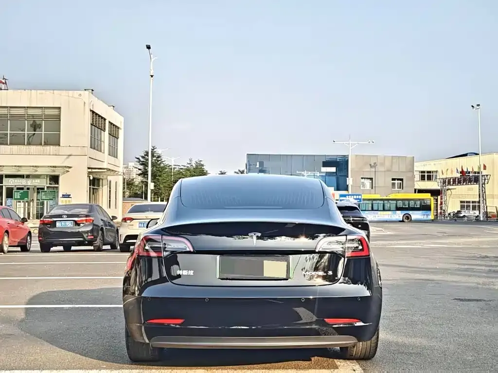 Tesla Model 3 2021 из CN, фото 2