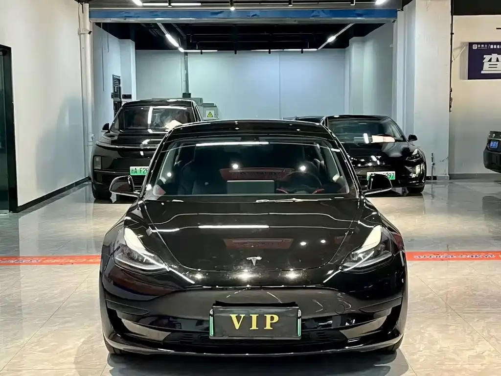 Tesla Model 3 2023 из CN, фото 3