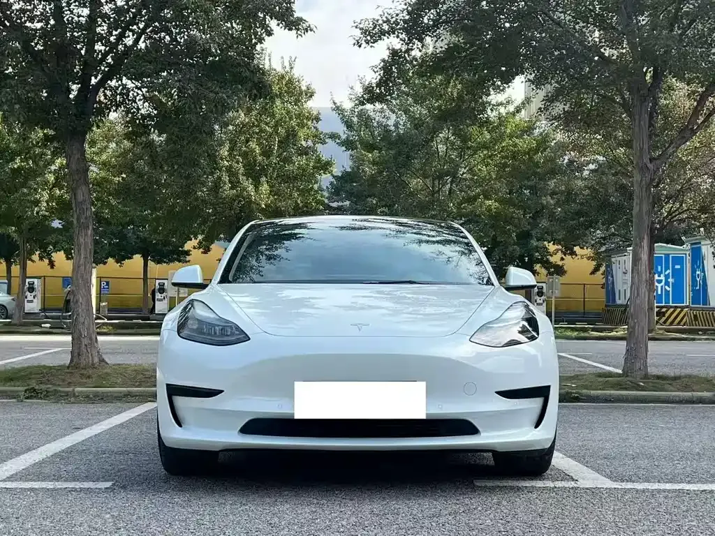 Tesla Model 3 2022 из CN, фото 2