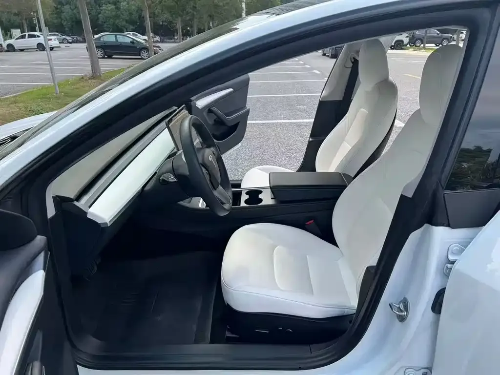 Tesla Model 3 2022 из CN, фото 4