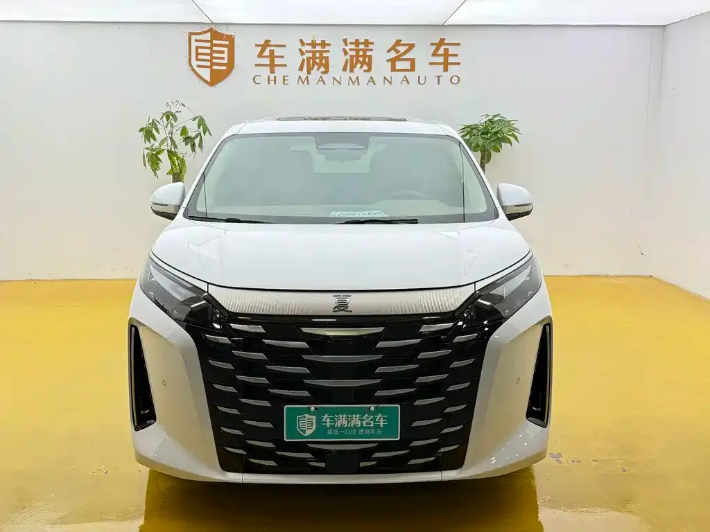 BYD Xia 2025 из CN, фото 3