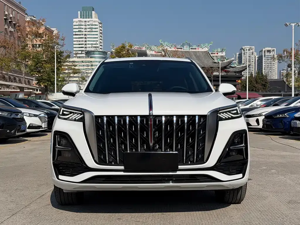 Hongqi HS5 2023 из CN, фото 10
