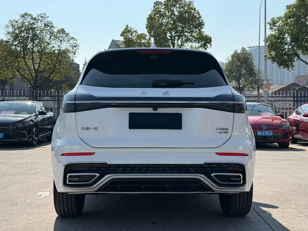 Hongqi HS5 2023 из CN, фото 9