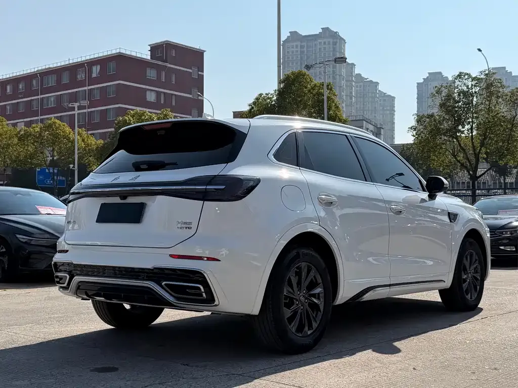 Hongqi HS5 2023 из CN, фото 7