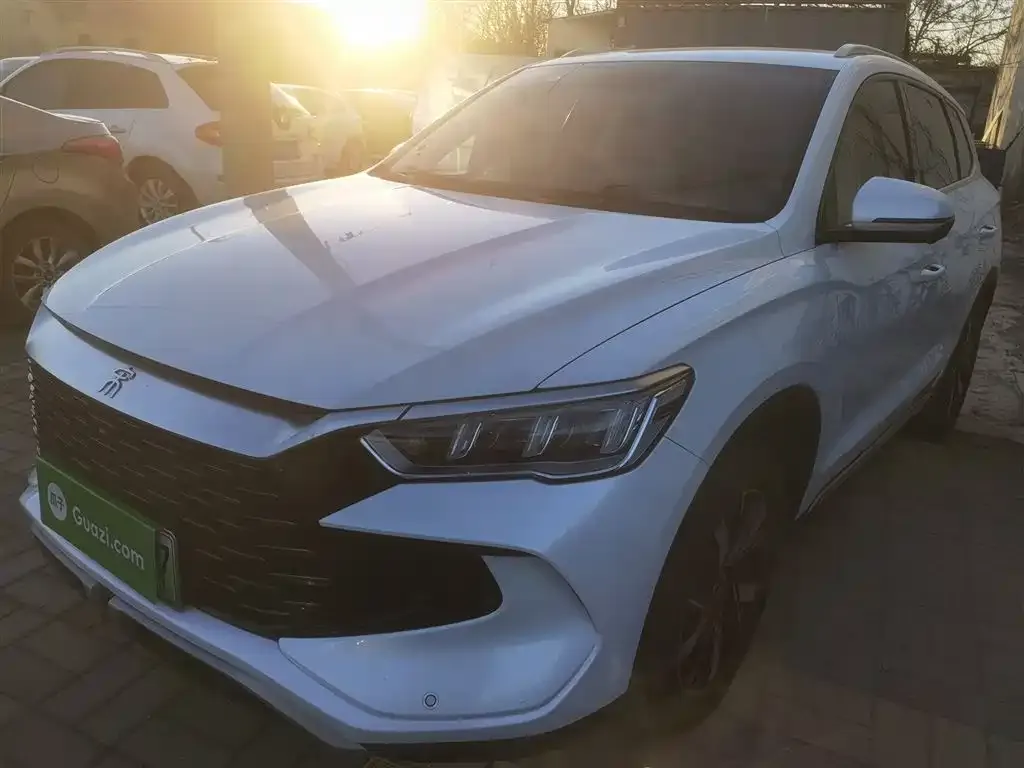 BYD Pro New Energy 2024 из CN, фото 1