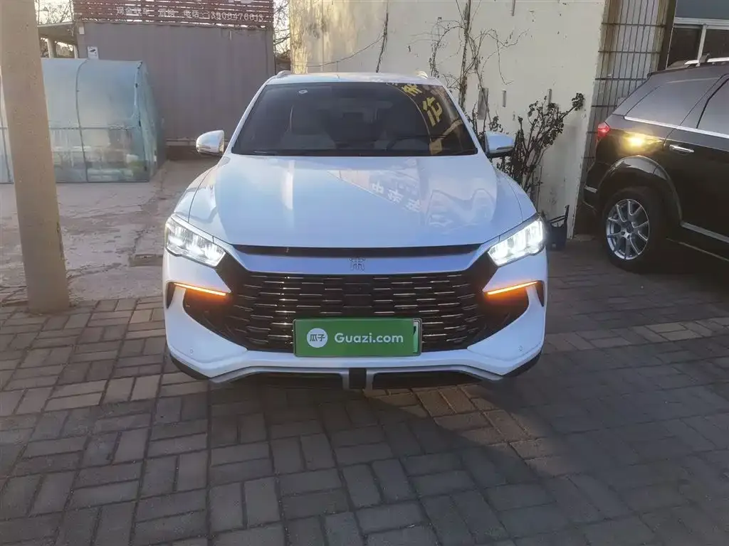 BYD Pro New Energy 2024 из CN, фото 4