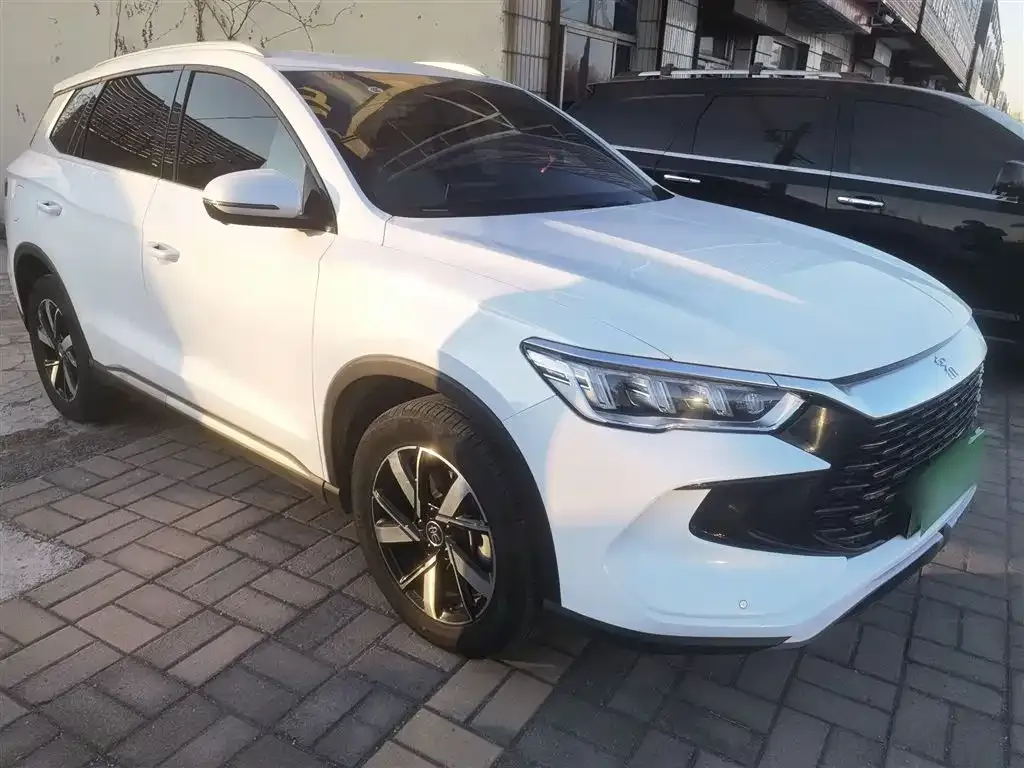 BYD Pro New Energy 2024 из CN, фото 10