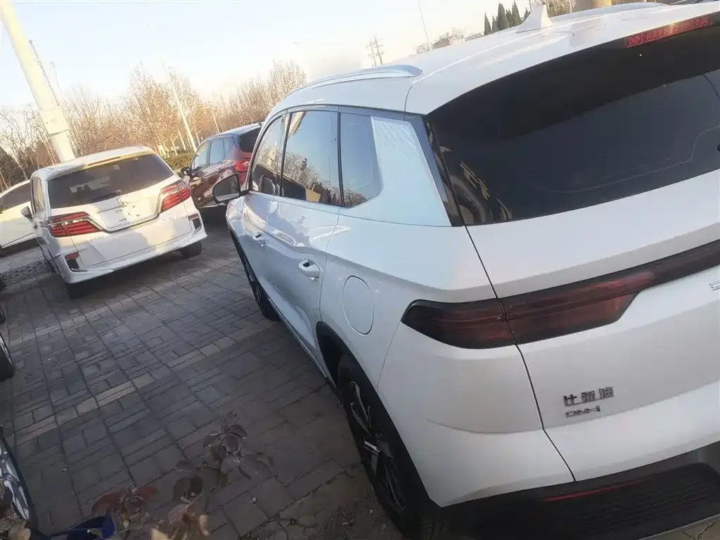 BYD Pro New Energy 2024 из CN, фото 3