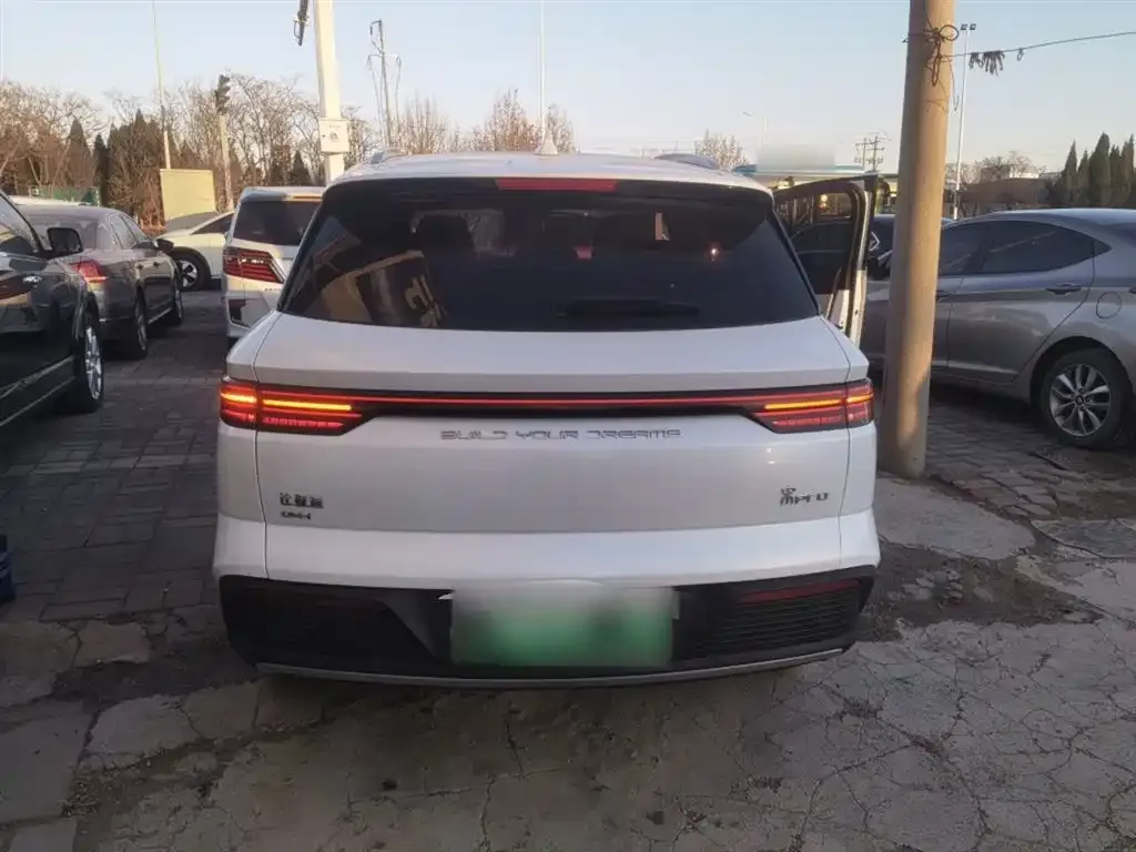 BYD Pro New Energy 2024 из CN, фото 2
