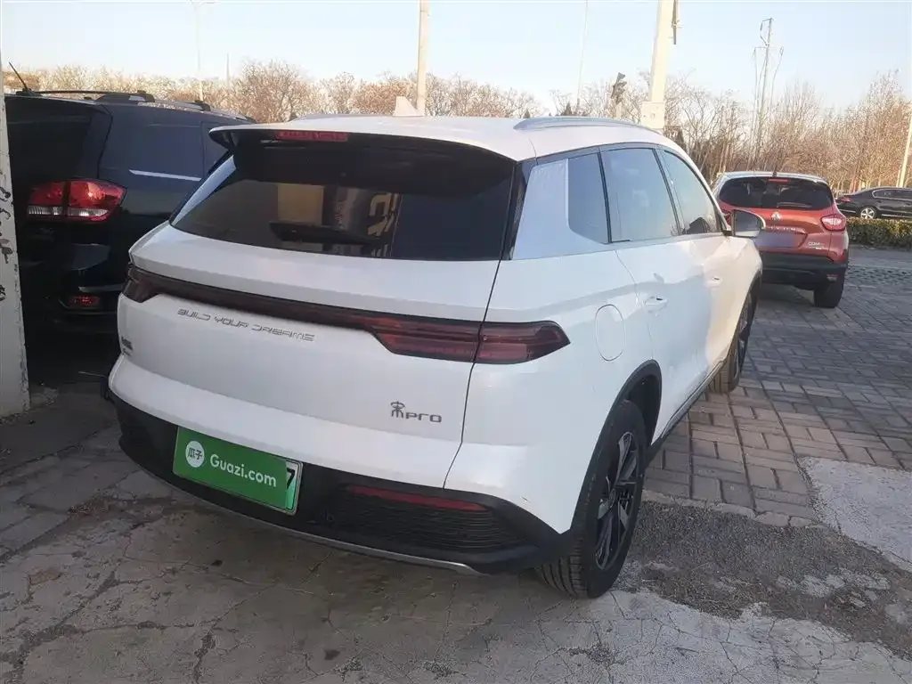 BYD Pro New Energy 2024 из CN, фото 6