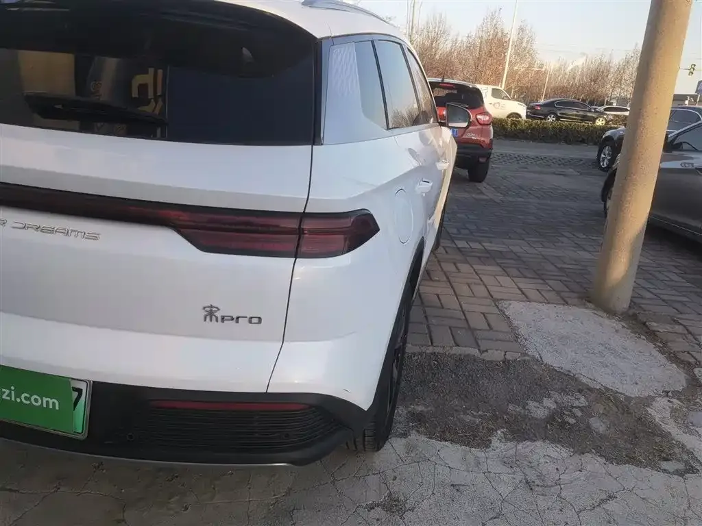 BYD Pro New Energy 2024 из CN, фото 7