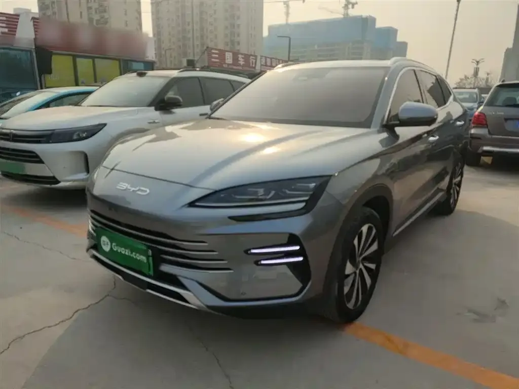 BYD PLUS New Energy 2023 из CN, фото 2