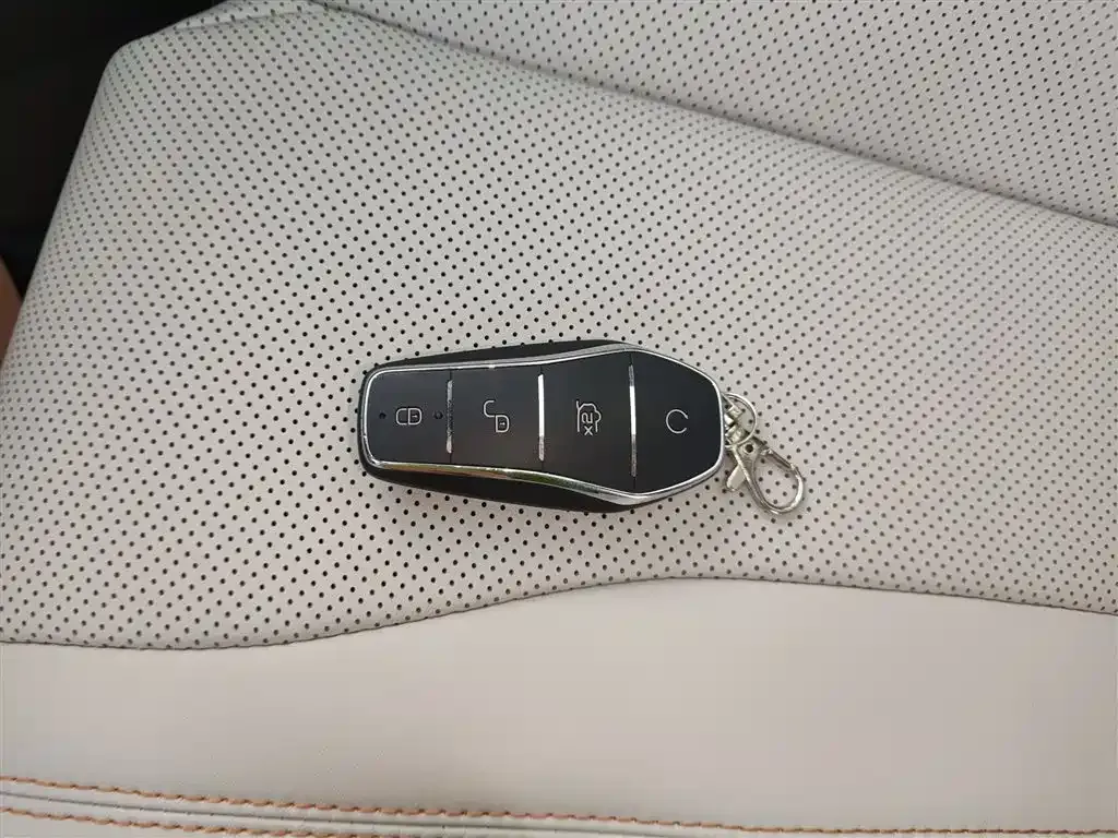 BYD PLUS New Energy 2023 из CN, фото 9