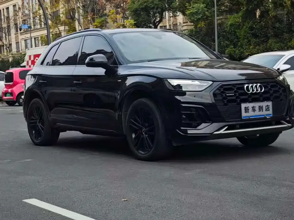 Audi Q5L 2023 из CN, фото 9