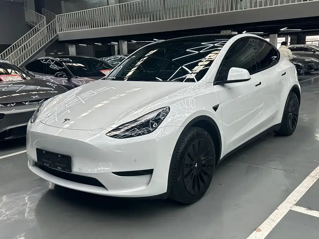 Tesla Model Y — фото 1
