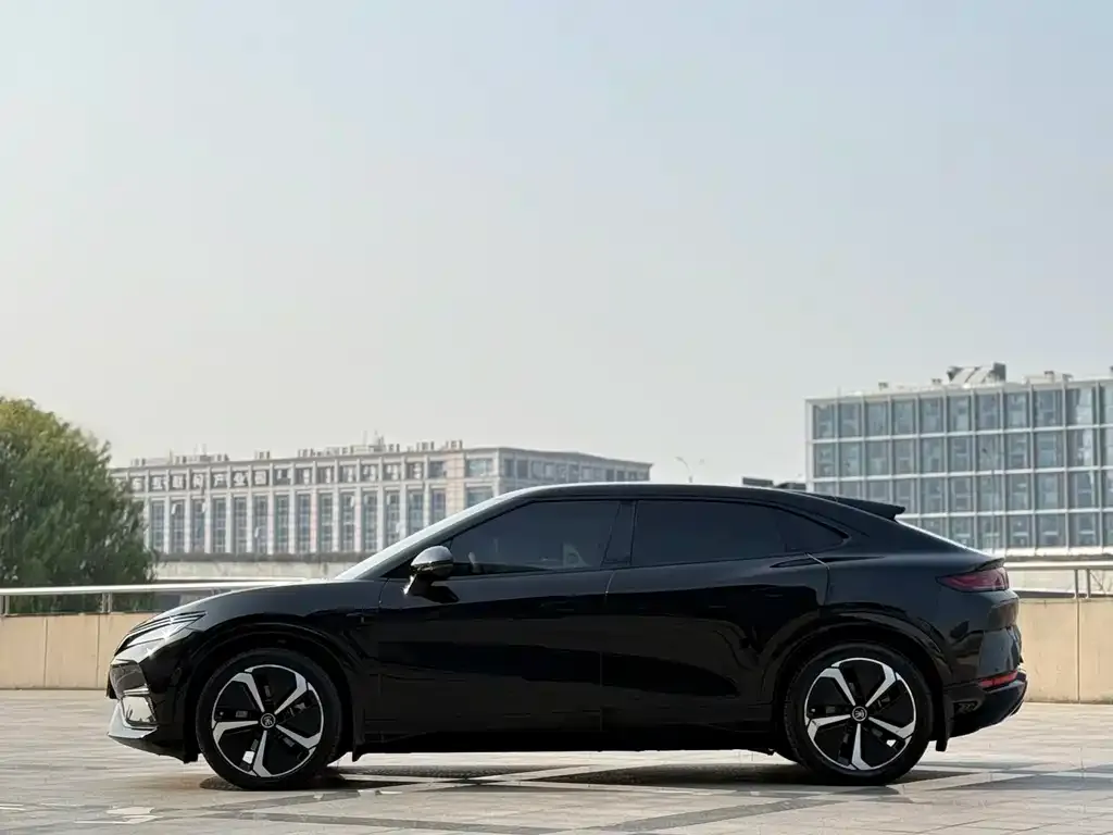 BYD L EV 2024 из CN, фото 3