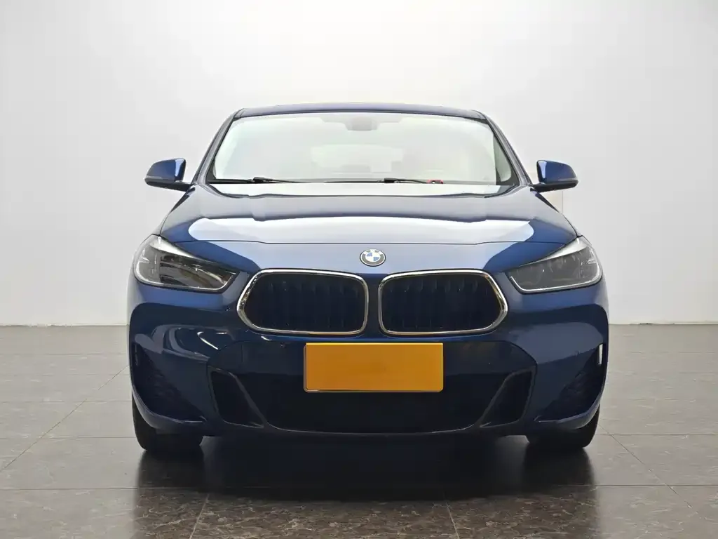 BMW X2 2021 из CN, фото 9