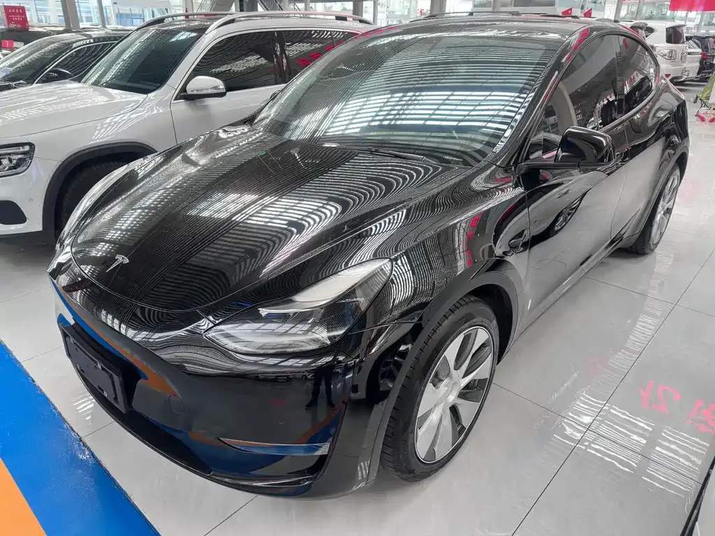 Tesla Model Y 2021 из CN, фото 1