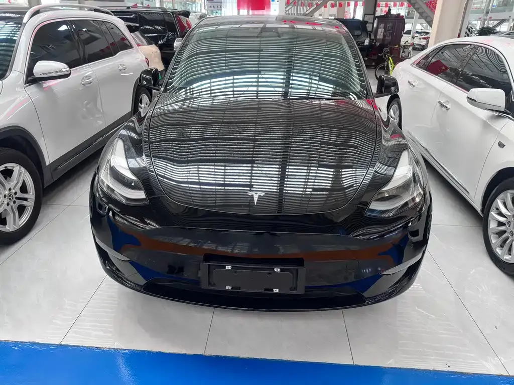 Tesla Model Y 2021 из CN, фото 2