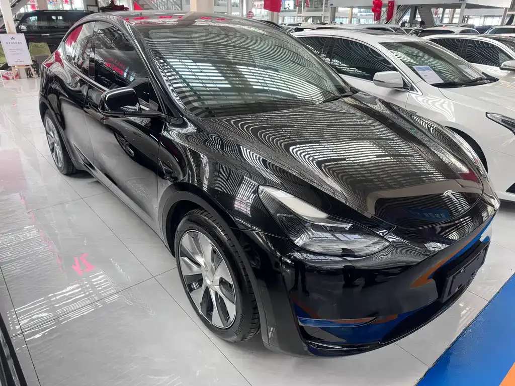 Tesla Model Y 2021 из CN, фото 3