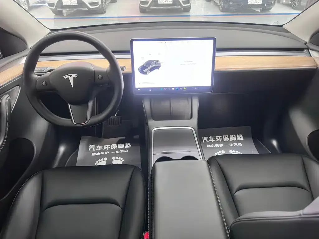 Tesla Model Y 2021 из CN, фото 9