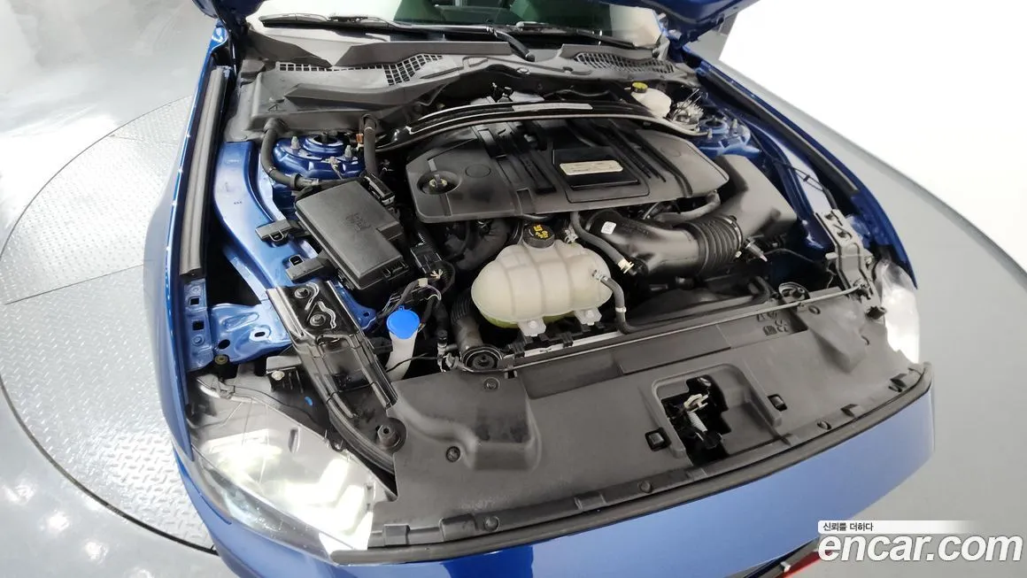 Ford Mustang 2022 из KR, фото 6