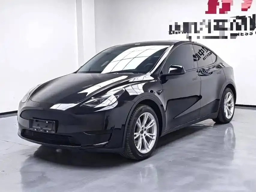Tesla Model Y 2022 из CN, фото 1