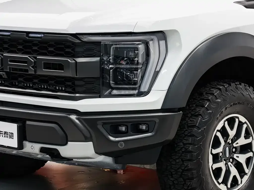 Ford F-150 Raptor 2024 из CN, фото 8