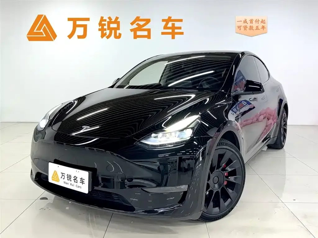 Tesla Model Y 2021 из CN, фото 1