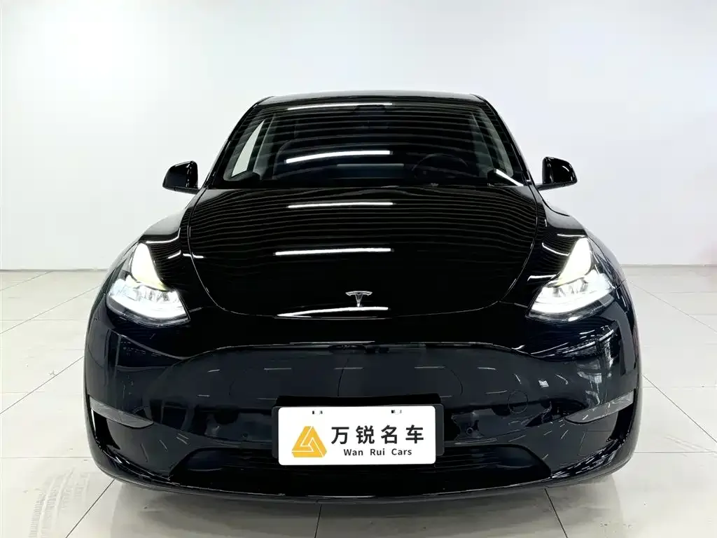Tesla Model Y 2021 из CN, фото 7