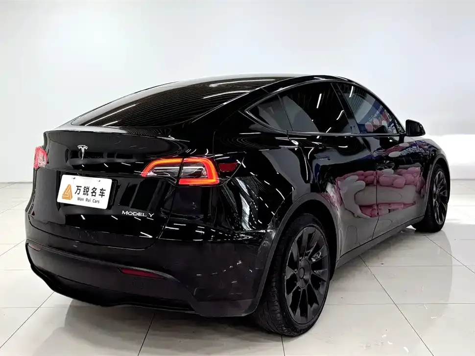 Tesla Model Y 2021 из CN, фото 5