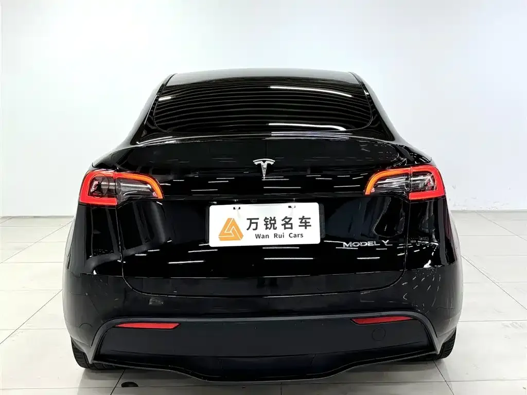 Tesla Model Y 2021 из CN, фото 6