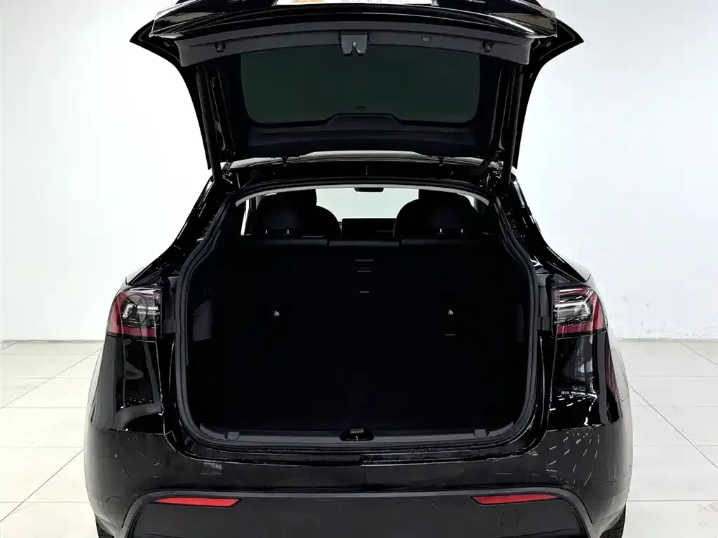 Tesla Model Y 2021 из CN, фото 2