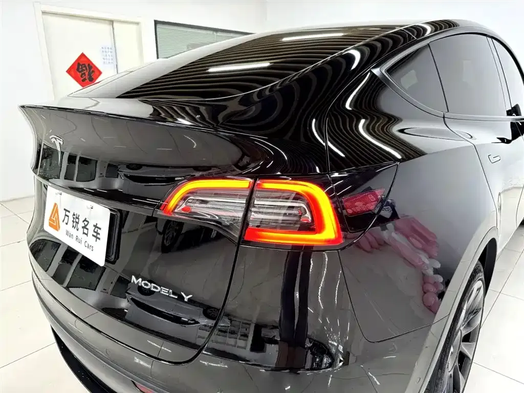 Tesla Model Y 2021 из CN, фото 8