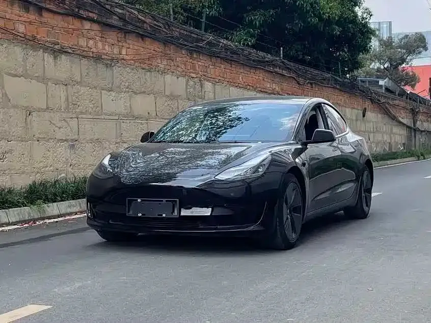 Tesla Model 3 2021 из CN, фото 1