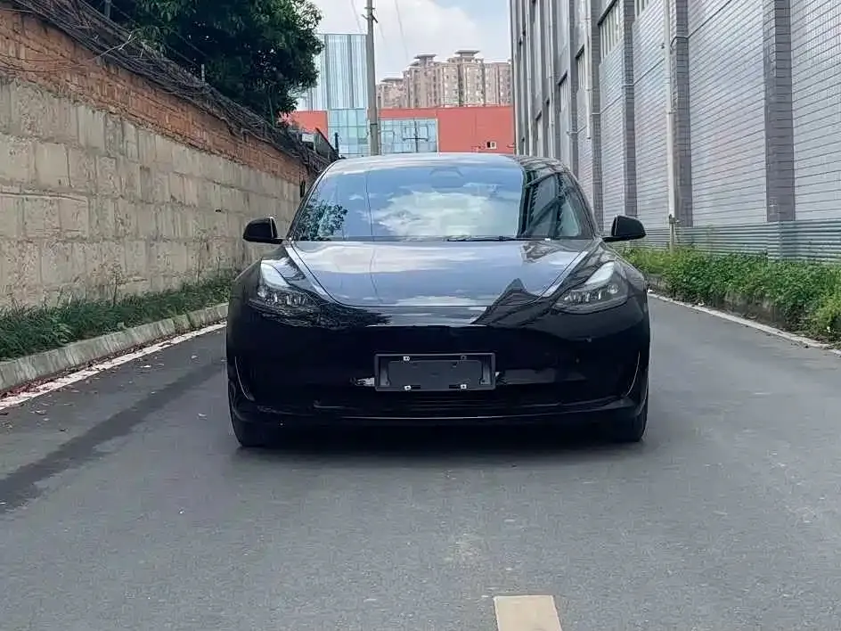 Tesla Model 3 2021 из CN, фото 5