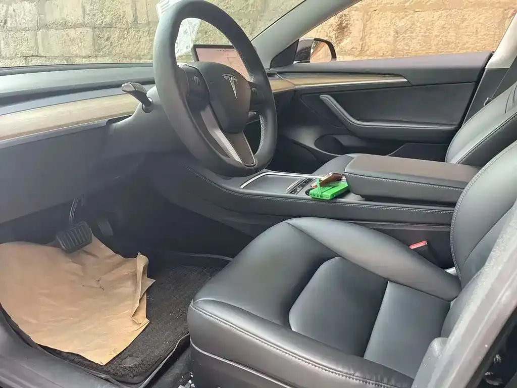 Tesla Model 3 2021 из CN, фото 3