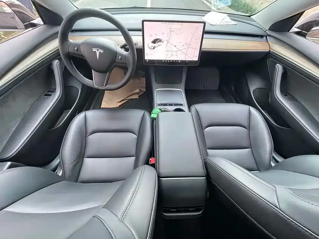 Tesla Model 3 2021 из CN, фото 4