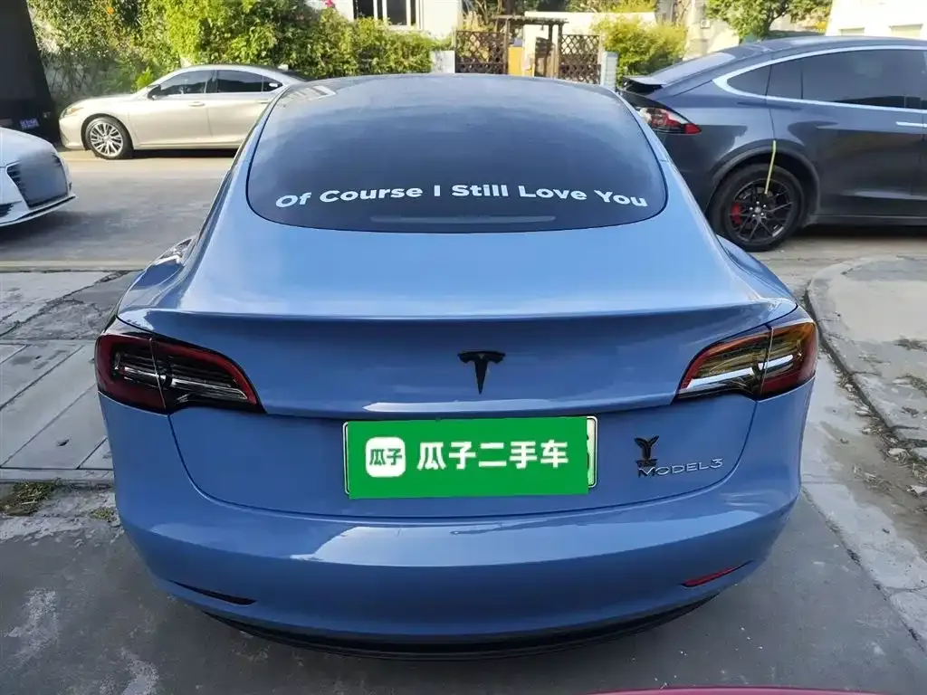 Tesla Model 3 2021 из CN, фото 3