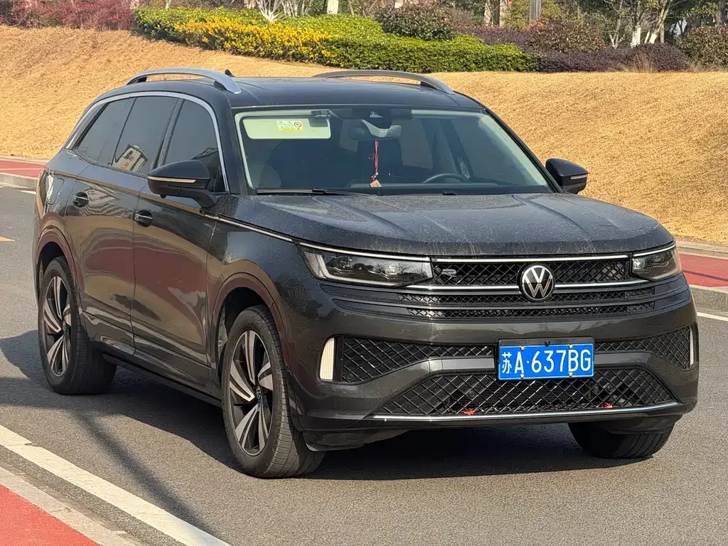 Volkswagen Tavendor 2023 из CN, фото 6