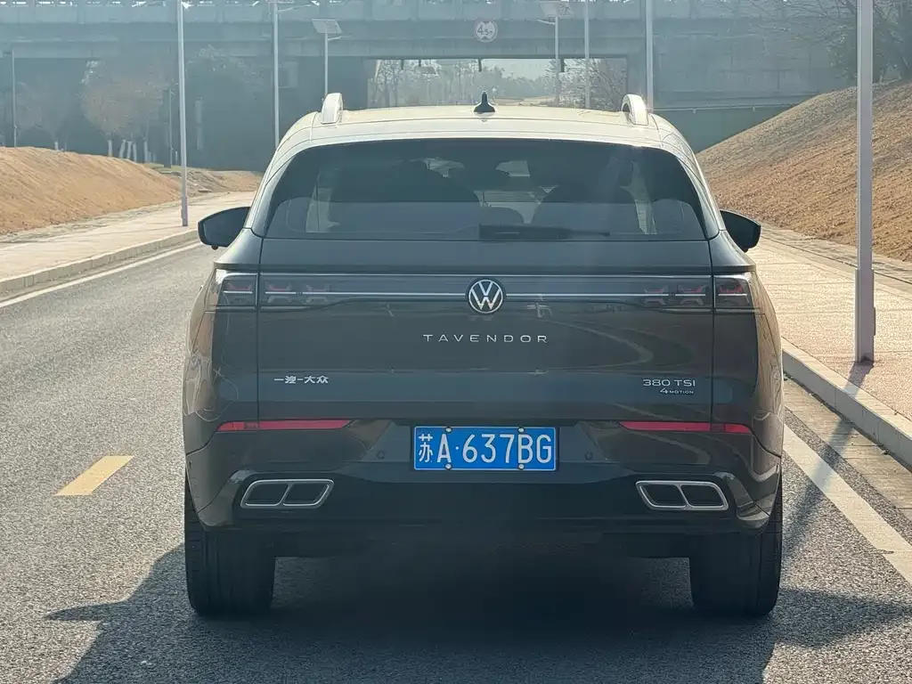 Volkswagen Tavendor 2023 из CN, фото 3