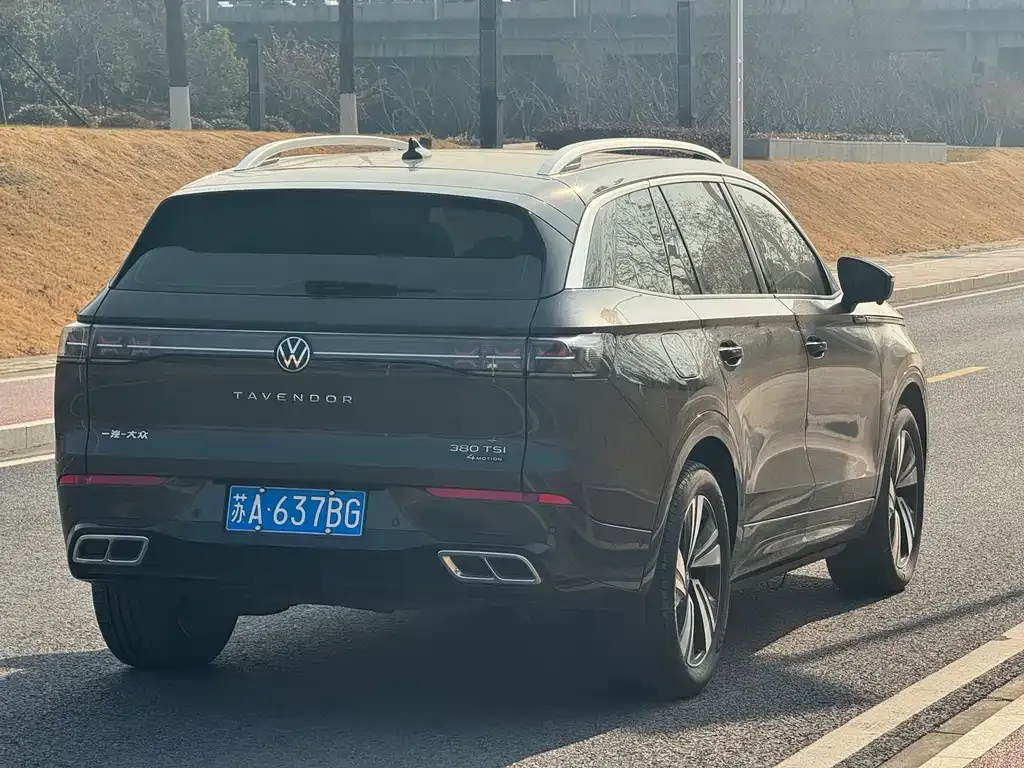 Volkswagen Tavendor 2023 из CN, фото 4