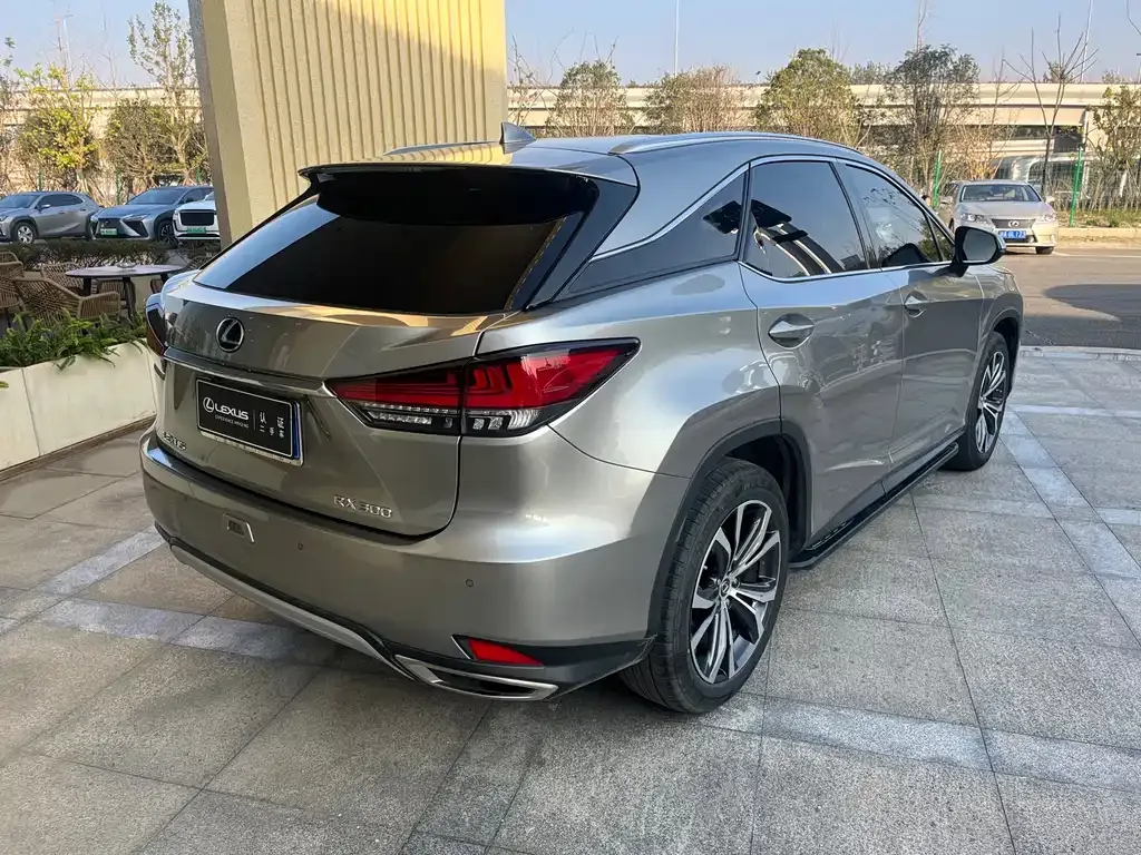 Lexus RX 2022 из CN, фото 2