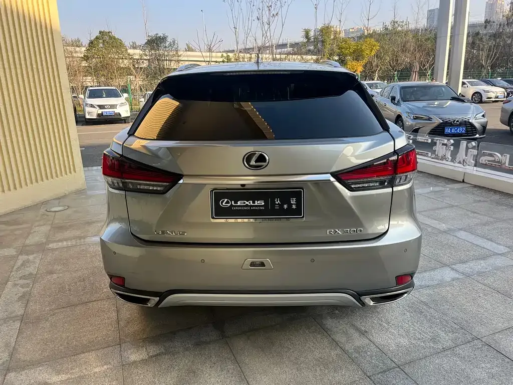 Lexus RX 2022 из CN, фото 6